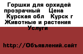 Горшки для орхидей (прозрачный) › Цена ­ 25 - Курская обл., Курск г. Животные и растения » Услуги   